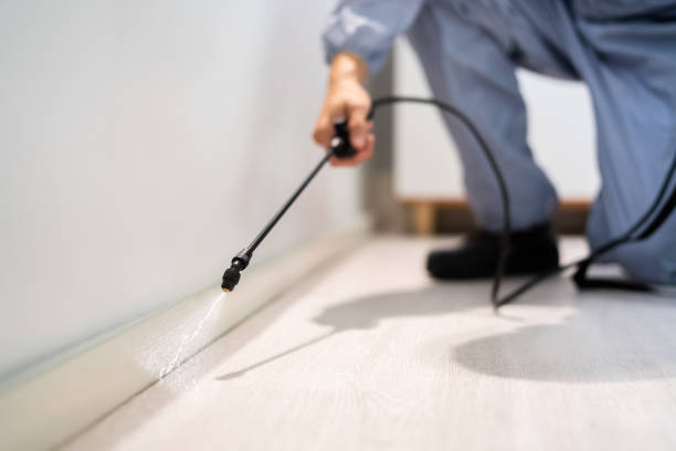 Licensed Mosquito Control service in Bend, OR - Nex Pest Control