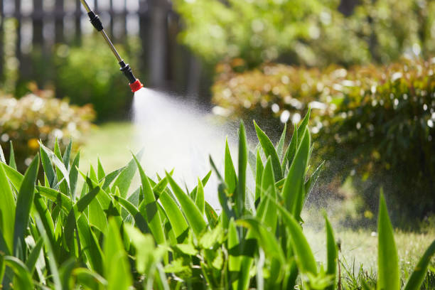 24/7 Emergency Mosquito Control experts in Bend, OR
